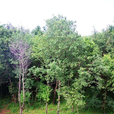 Astrea Διαμέρισμα Ριέκα Εξωτερικό φωτογραφία